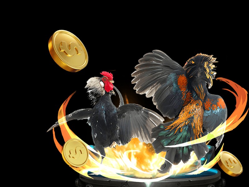 Đá gà cựa sắt